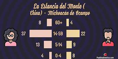 PREESCOLAR COMUNITARIO LA ESTANCIA DEL MONTE CHINA