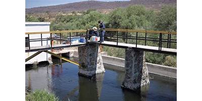 PRESA CORONA