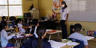 PRIMARIA COMUNITARIA