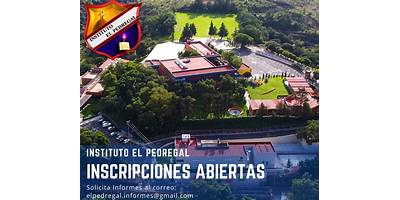 PRIMARIA COMUNITARIA EL PEDREGAL