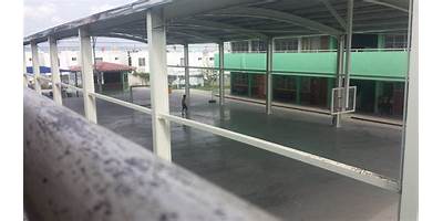 PRIMARIA COMUNITARIA MARIANO ABASOLO