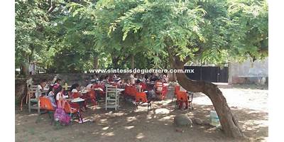 PRIMARIA COMUNITARIA MESTIZA