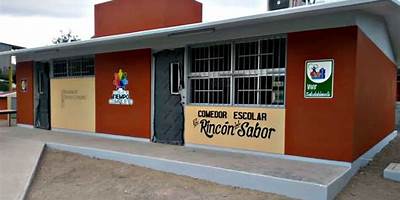 PRIMARIA REGULAR