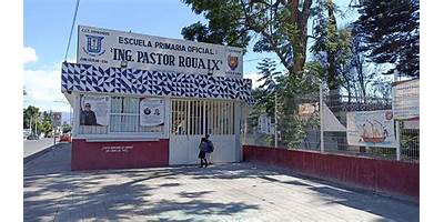 PRIMEROS PASOS