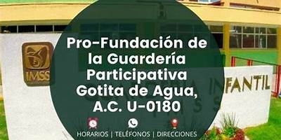 PRO FUNDACION DE LA GUARDERIA PARTICIPATIVA GOTITA DE AGUA, A.C.