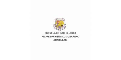PROFESOR HERMILO GUERRERO ARADILLAS
