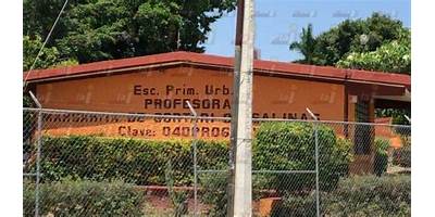 PROFESORA MARGARITA DE GORTARI DE SALINAS