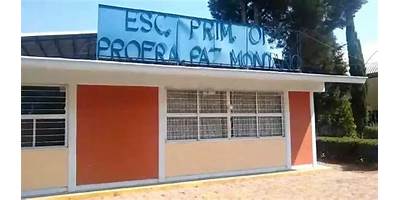 PROFESORA PAZ MONTAÑO