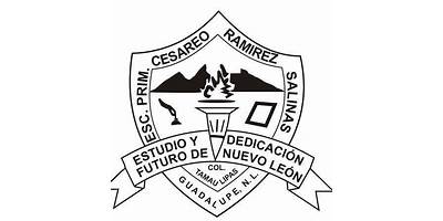 PROFR. CESAREO RAMIREZ SALINAS