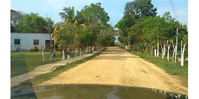 RANCHO ALEGRE