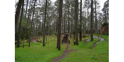 RANCHO NUEVO