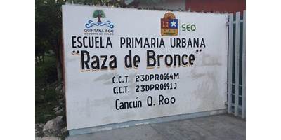 RAZA DE BRONCE