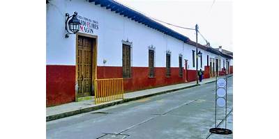 RICARDO FLORES MAGON