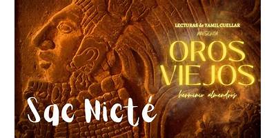 SAC NICTE (BLANCA FLOR)