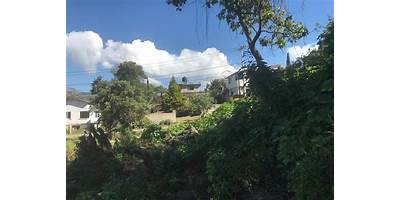 SAN ISIDRO AMOLA