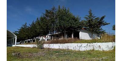 SAN JERONIMO (CHUPAMUERTO)