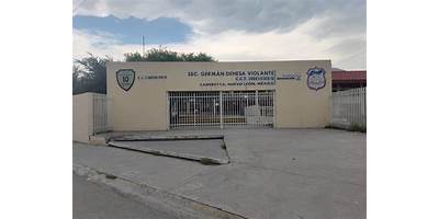 SECUNDARIA NUM. 10 GERMAN DEHESA VIOLANTE