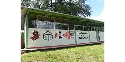 SECUNDARIA TECNICA AGROPECUARIA NUM. 28