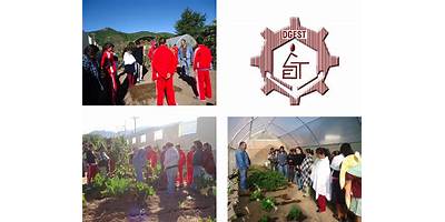 SECUNDARIA TECNICA AGROPECUARIA NUM. 37