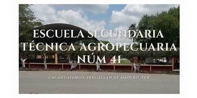 SECUNDARIA TECNICA AGROPECUARIA NUM. 41