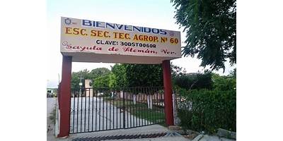 SECUNDARIA TECNICA AGROPECUARIA NUM. 60