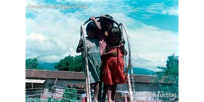 TANIWETSIKA