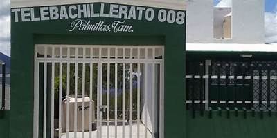 TELEBACHILLERATO COMUNITARIO 008