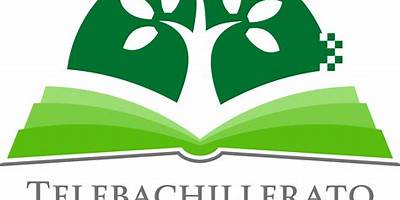 TELEBACHILLERATO COMUNITARIO DE LOS HORNOS