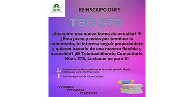 TELEBACHILLERATO COMUNITARIO NÚM. 375 LUVIANOS