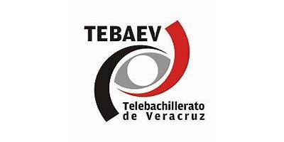 TELEBACHILLERATO EL ARENAL