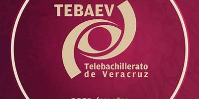TELEBACHILLERATO EL MERCADO