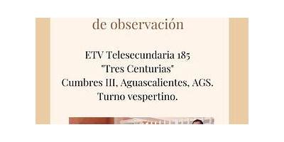 TELESECUNDARIA 185