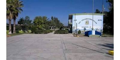 TELESECUNDARIA 239