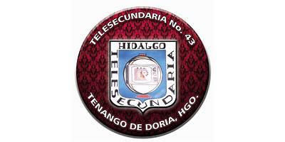 TELESECUNDARIA 43