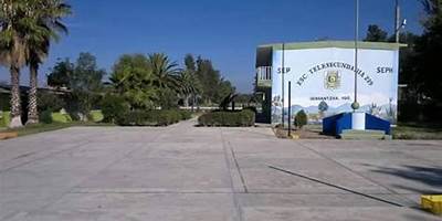 TELESECUNDARIA NUM. 239
