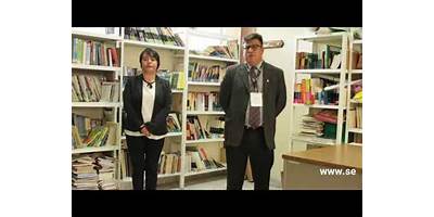 TELESECUNDARIA NUM. 313