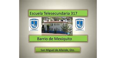 TELESECUNDARIA NUM. 317