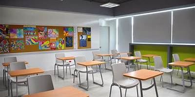 THE LANGUAGE AID INSTITUTE