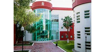 UNIVERSIDAD AUTONOMA DEL NORESTE CAMPUS TORREON
