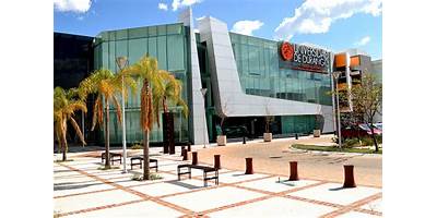 UNIVERSIDAD DE LA CIUDAD DE AGUASCALIENTES