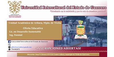 UNIVERSIDAD INTERCULTURAL DEL ESTADO DE GUERRERO UNIDAD ACADEMICA ATLIACA