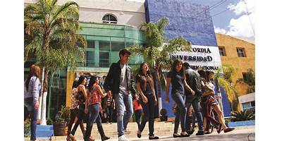 UNIVERSIDAD LA CONCORDIA CAMPUS CENTRO