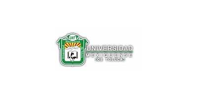 UNIVERSIDAD MEXIQUENSE DE TOLUCA S.C.