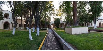 UNIVERSIDAD POLITECNICA DE FRANCISCO I. MADERO