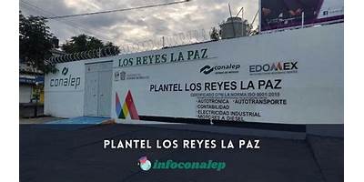 UNIVERSIDAD TECNOLOGICA DE MEXICO (LOS REYES)