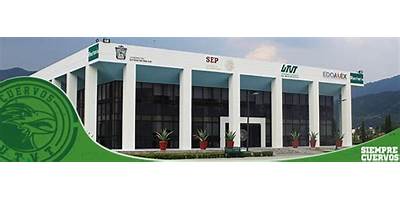 UNIVERSIDAD TECNOLOGICA DEL VALLE DE TOLUCA