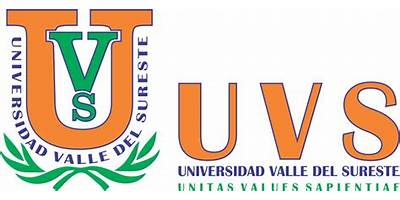 UNIVERSIDAD VALLE DEL SURESTE