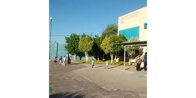 Imagen de la galería