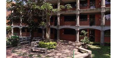 ALPHARD SCHOOL