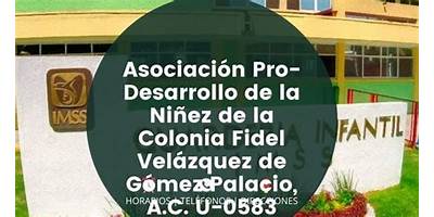 ASOCIACION PRO-DESARROLLO DE LA NIÑEZ DE LA COLONIA FIDEL VELAZQUEZ DE GOMEZ PALACIO, A.C.